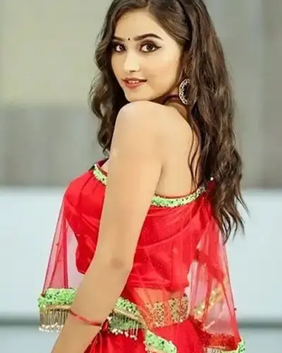 Escort In Hazratganj